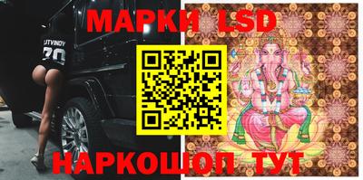 прущие грибы Гатчина