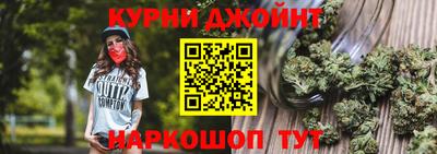 прущие грибы Гатчина