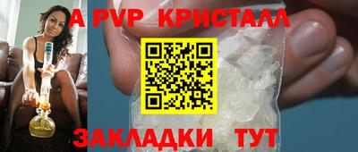 прущие грибы Гатчина