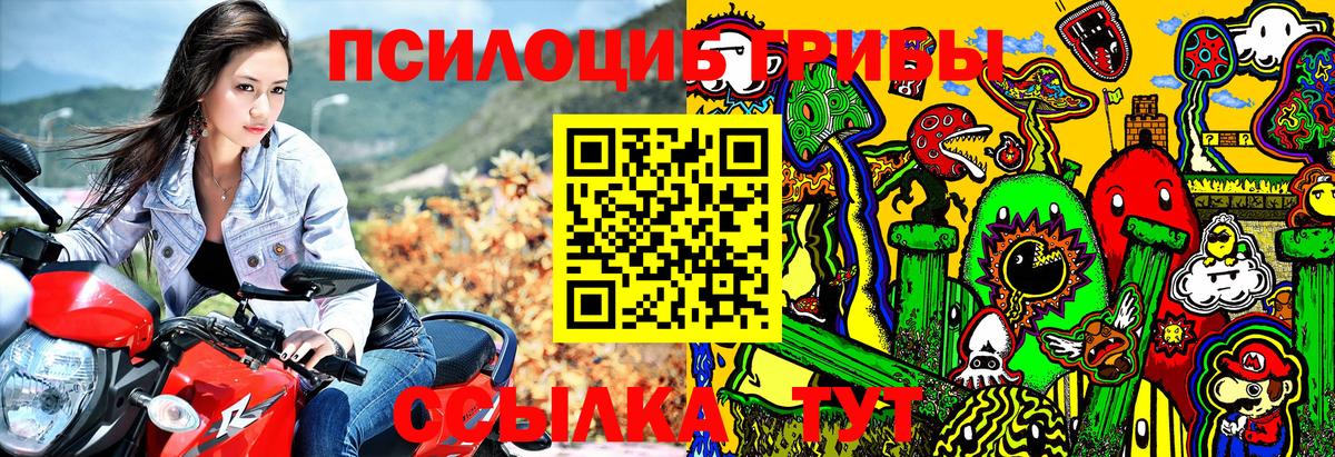 Псилоцибиновые грибы прущие грибы  Галлюциногенные грибы мицелий  Мыски  Вход с VPN 