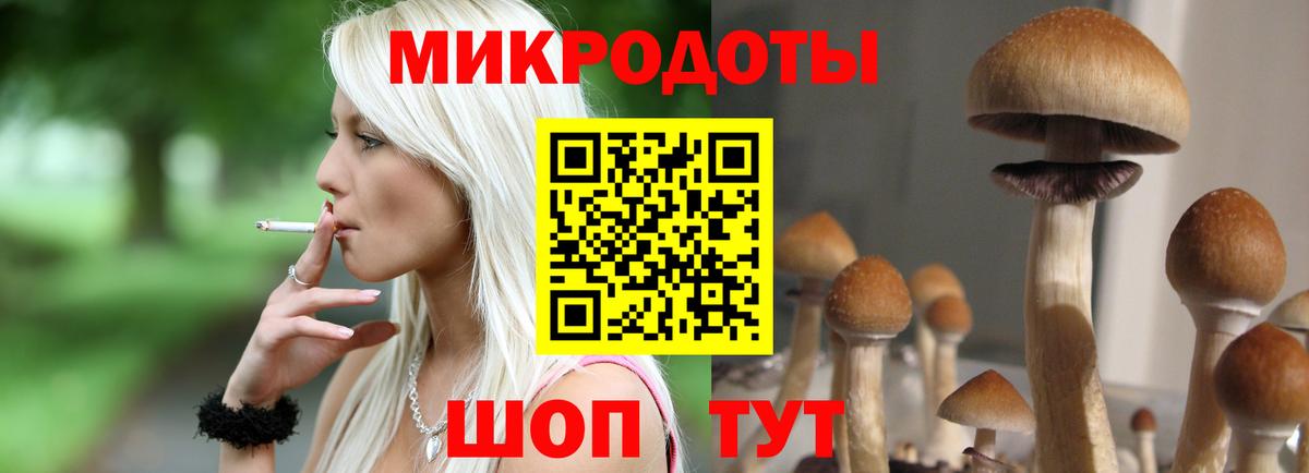 Галлюциногенные грибы Psilocybine cubensis Мыски