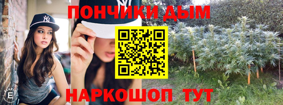 Шишки марихуана планчик  Вход с VPN  Мыски  МАРИХУАНА план 